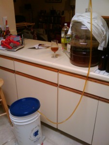 Siphoning the finished beer into the bottling bucket