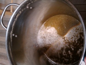 The hop gunk at the bottom of the kettle