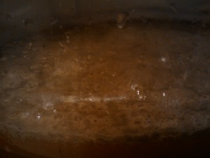 Fermentation is just getting going.